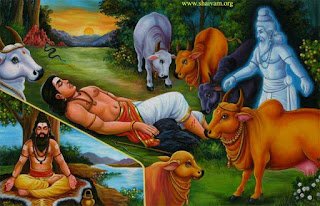nayanargal